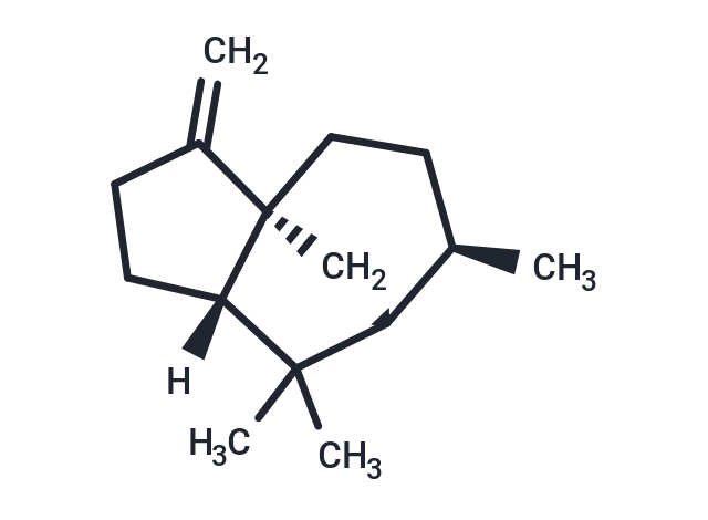 柏木烯