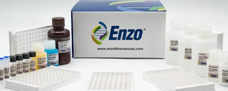 Enzo Lifescience Protein A ELISA kit 2.5比1.jpg