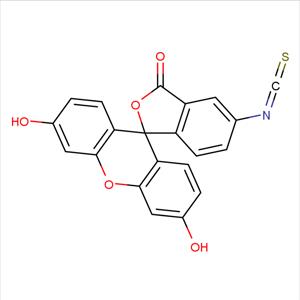 異硫氰酸熒光素