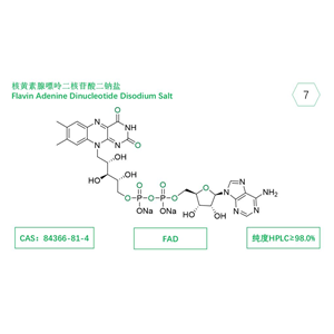 FAD；核黃素腺嘌呤二核苷酸二鈉鹽