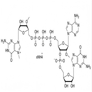 (3'0Me)GAG帽類似物3'OMe-GAG Cap,100mM Ammonium Salt  Solution