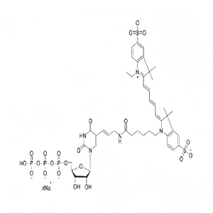 CY5-UTP 10mM 溶液 CY5-UTP 10mM solution