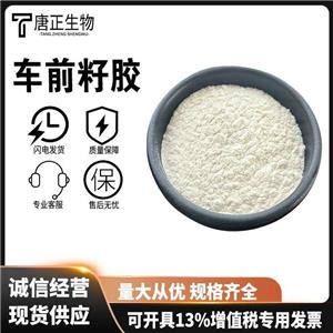 食品級(jí)車前籽膠 凝膠劑 增稠穩(wěn)定劑 粉末狀 高含量 8063-16-9