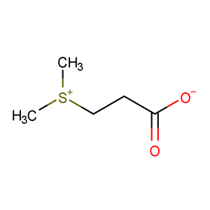 DMPT4337-33-1   主打 專業(yè)  全國可發(fā)  高純度