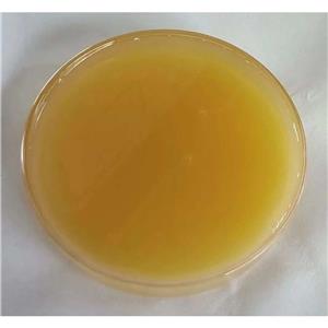 蘇州鼠李糖脂廠家，生物表面活性劑鼠李糖脂批發(fā)
