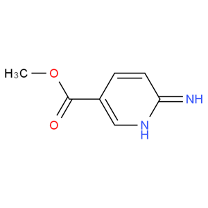 6-氨基煙酸甲酯